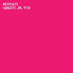 #ED1A71 - Rose Color Image