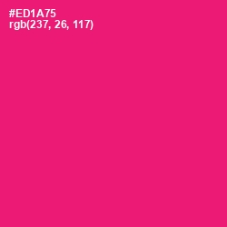 #ED1A75 - Rose Color Image