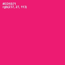 #ED1B71 - Rose Color Image