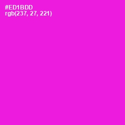 #ED1BDD - Shocking Pink Color Image