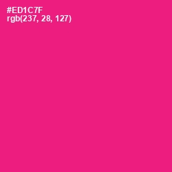 #ED1C7F - Rose Color Image