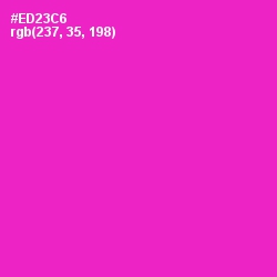 #ED23C6 - Razzle Dazzle Rose Color Image