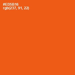 #ED5B16 - Trinidad Color Image