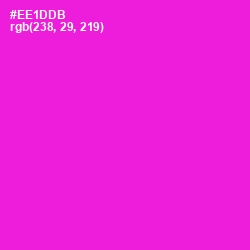 #EE1DDB - Shocking Pink Color Image