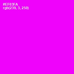 #EF03FA - Magenta / Fuchsia Color Image