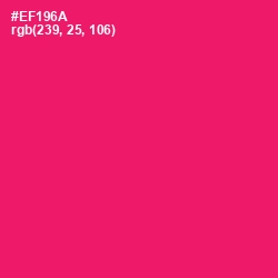 #EF196A - Rose Color Image