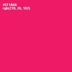 #EF1A66 - Rose Color Image