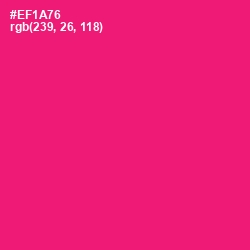 #EF1A76 - Rose Color Image