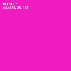 #EF1CC1 - Shocking Pink Color Image