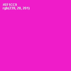 #EF1CC9 - Shocking Pink Color Image