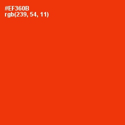 #EF360B - Scarlet Color Image