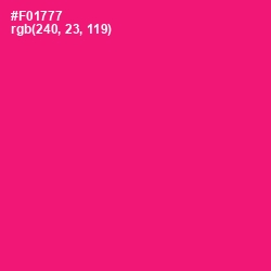 #F01777 - Rose Color Image