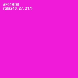 #F01BD9 - Shocking Pink Color Image