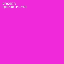 #F029DB - Razzle Dazzle Rose Color Image