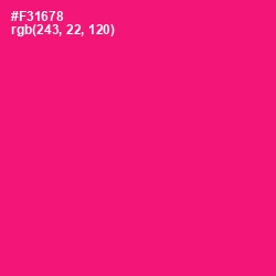 #F31678 - Rose Color Image