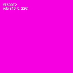 #F600E2 - Magenta / Fuchsia Color Image