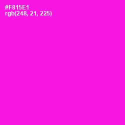 #F815E1 - Magenta / Fuchsia Color Image
