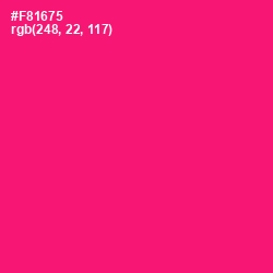 #F81675 - Rose Color Image