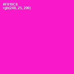 #F819C8 - Shocking Pink Color Image