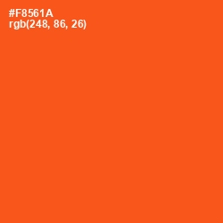 #F8561A - International Orange Color Image