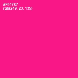 #F91787 - Persian Rose Color Image