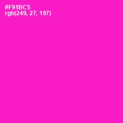 #F91BC5 - Shocking Pink Color Image