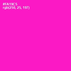 #FA19C5 - Shocking Pink Color Image