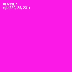 #FA19E7 - Magenta / Fuchsia Color Image