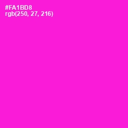 #FA1BD8 - Shocking Pink Color Image
