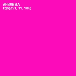 #FB0BBA - Hollywood Cerise Color Image