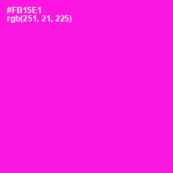 #FB15E1 - Magenta / Fuchsia Color Image