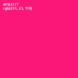 #FB1777 - Rose Color Image