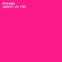 #FB1888 - Persian Rose Color Image