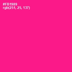 #FB1989 - Persian Rose Color Image