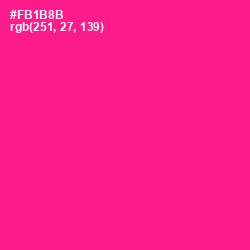 #FB1B8B - Persian Rose Color Image