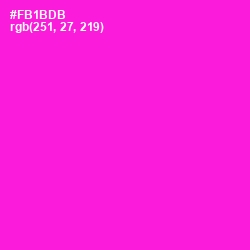 #FB1BDB - Shocking Pink Color Image