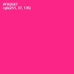 #FB2587 - Wild Strawberry Color Image