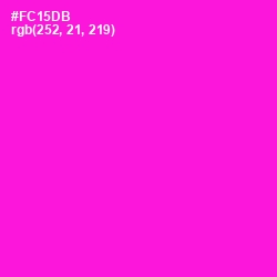 #FC15DB - Purple Pizzazz Color Image