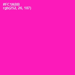 #FC1ABB - Hollywood Cerise Color Image