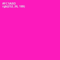 #FC1ABD - Hollywood Cerise Color Image