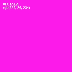 #FC1AEA - Magenta / Fuchsia Color Image