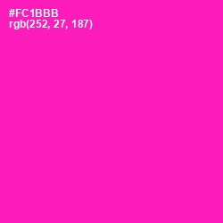 #FC1BBB - Hollywood Cerise Color Image