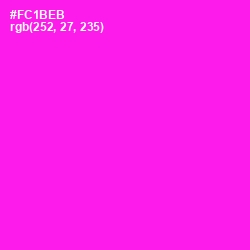 #FC1BEB - Magenta / Fuchsia Color Image