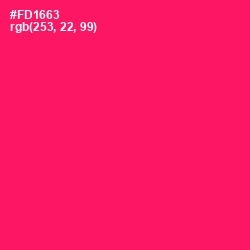 #FD1663 - Rose Color Image