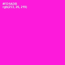 #FD1ADB - Shocking Pink Color Image