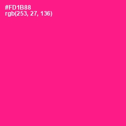 #FD1B88 - Persian Rose Color Image