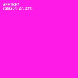 #FE1BE7 - Magenta / Fuchsia Color Image