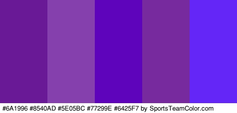 #6A1996 #8540AD #5E05BC #77299E #6425F7 Colors