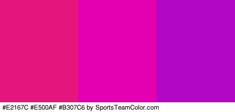 #E2167C #E500AF #B307C6 Colors