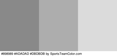 #898989 #ADADAD #DBDBDB Colors